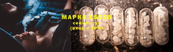 2c-b Ельня