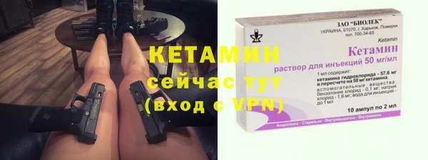 2c-b Ельня