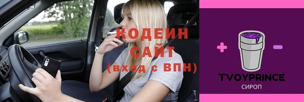 apvp Дмитров