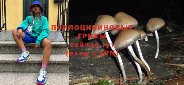 хмурый Дмитриев