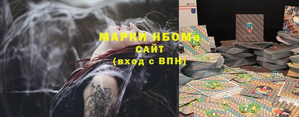 2c-b Ельня