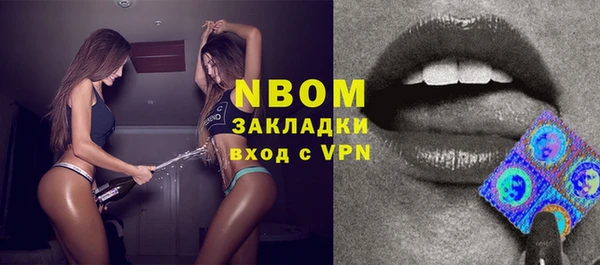 твердый Елизово