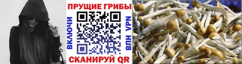Псилоцибиновые грибы мухоморы Буй